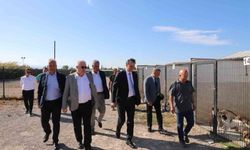 Kaymakam Zafer Engin, Sokak Hayvanları Bakım ve Rehabilitasyon Merkezi'ni ziyaret etti