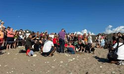 Kemer'de son caretta caretta yuvası açıldı
