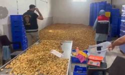 Köşk'te 20 milyon TL değerinde 25 ton etiketsiz kuru incir ele geçirildi