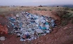 Köylünün çöp tepkisi: 'Bu sene iki danamız telef oldu'