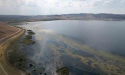 Kuruyan göl eski günlerine kavuştu, şimdiki hedef ise balık tutmak