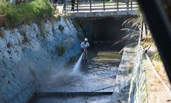 Kuşadası'nda Damlacık Deresi temizlendi