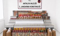 Manavgat'ta 36 bin makaron, 35 kilo kıyılmış tütün ele geçirildi