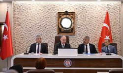 Manisa'da sahipsiz hayvanlara yönelik çalışmalar değerlendirildi