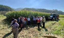 Menteşe'de üreticilere silajlık mısır eğitimi verildi
