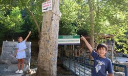 Mesire alanındaki çöp sorununa 'Çöp atan eşektir' yazılı tabelayla tepki