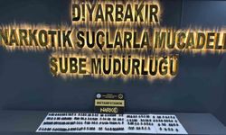 Midelerinde taşıdıkları uyuşturucu ile yakalanan 2 kişi tutuklandı