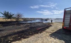 Muratlı kırsalındaki pangın paniği