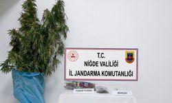 Niğde'nin Bor ilçesinde uyuşturucu operasyonu