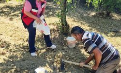 Pazarlar'da üreticilere bilinçli gübreleme desteği