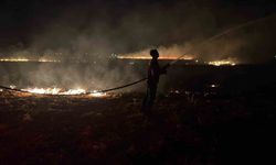 Reyhanlı'da mısır anızı yangını büyümeden söndürüldü