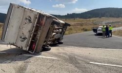 Sarıkamış'ta hayvan yüklü kamyonet devrildi: 3 büyükbaş telef oldu