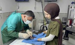 Sekizinci kattan düşerek bacakları kırılan kedi, başarılı operasyon sayesinde 4 günde yürümeye başladı