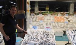 Sezon başladı, balık tezgahları şenlendi