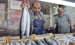 Sezonun gözdesi palamut ve hamsi tezgahları şenlendirdi