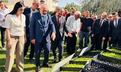 Şırnak'ta üreticilere 152 bin sebze fidesi ve çoban çantası dağıtıldı