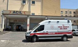 Siverek-Çermik yolunda otomobil yoldan çıktı: 3 yaralı