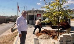 Sultanhisar'da ağaçlandırma çalışmaları sürüyor