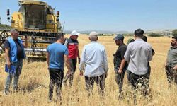 TAKEP kapsamında yüzde 75 hibe ile mercimek tohumuna müracaatlar başladı