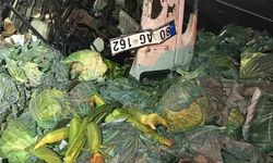 Tarsus-Pozantı otoyolunda kamyon ile tır çarpıştı: 1 ölü