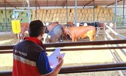 TİGEM işletmelerinde denetim yapıldı
