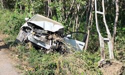 Tokat'ta otomobil elektrik direğine çarptı: 1 ölü, 1 yaralı