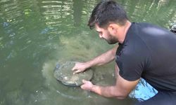 Türkiye'de altın çok arayan yok...Derelerde her gün 5 gram altın çıkarıyorlar