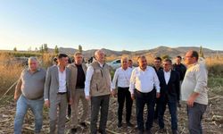 TZOB Genel Başkanı Şemsi Bayraktar, Akin'de ay çekirdeği hasadına katıldı