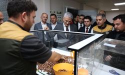 Vali Makas Çilimli'de TMO fındık alım merkezini inceledi