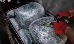 Yolcu otobüsünde 69 bin kişiyi zehirleyebilecek miktarda uyuşturucu ele geçirildi