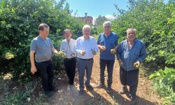 Yüreğir'de dolu afeti: Yaklaşık 35 bin dönüm tarım alanı zarar gördü