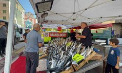 Zonguldak'ta palamut sezonu 100 liradan başladı