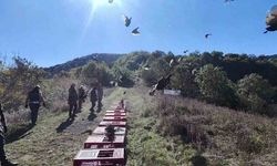 Zonguldak'ta yaban hayatını desteklemek için sülünler doğaya salındı