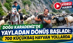 Doğu Karadeniz'den yaylalardan dönüş başladı
