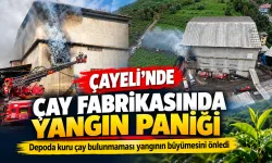 Rize Çayeli’nde Çay Fabrikasının Ambalaj Deposunda Yangın