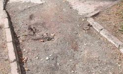 32 Evler Parkı bakımsızlığıyla dikkat çekti