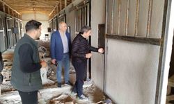 36 Atlık Barınak Projesi'nde çalışmalar devam ediyor