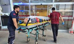 Ağaç keserken düşen yaşlı adam yaralandı