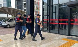 Alanya'da kuşlara yönelik vahşet kamerada: Birinin kafasını ağzıyla, diğerinin bıçakla kesti