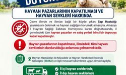 Amasya'da şap hastalığı tedbiri: Hayvan pazarları kapatıldı