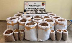 Antalya'da kaçak tütün operasyonu: 750 kilo tütün ele geçirildi