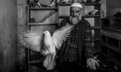 Ara Güler'in izinde Manisa imzası