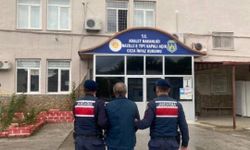 Aydın'da jandarmadan silah baskını: 1 tutuklama