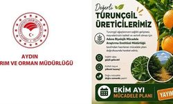 Aydın'da turunçgil bahçeleri için Ekim ayı mücadele planı açıklandı