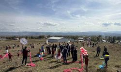 Aydıntepe'de uçurtma şenliği düzenlendi
