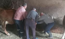 Aydıntepe'de yavru atık bildirimi üzerine saha çalışması yapıldı