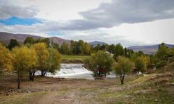 Balık Bendi'ne bungalov ev, kafe ve lokanta projesi