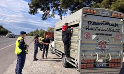 Balıkesir'de canlı hayvan nakillerine yönelik yol kontrolleri gerçekleştirildi