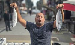 Bandırma'da palamutun fiyatı 75 liraya düştü