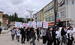 Bayburt'ta meme kanserine karşı farkındalık yürüyüşü düzenlendi